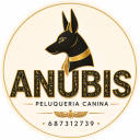 Anubis Peluquería Canina