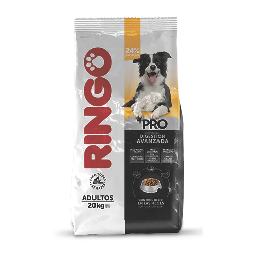 Ringo + Pro Adulto * 20 KG