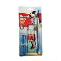 Dental Care Kit