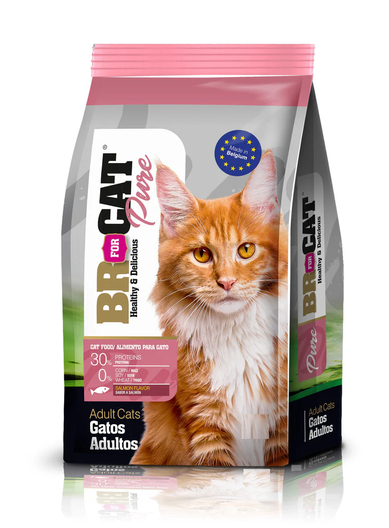 Br Fort Cat Adultos Salmon * 1 KG
