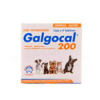 Galgocal