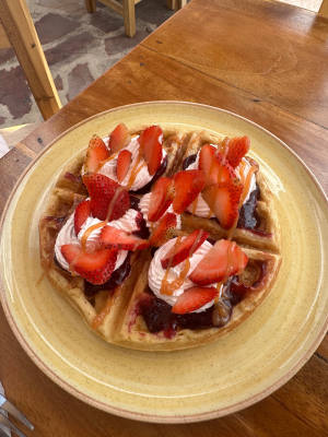 Waffle de frutos rojos