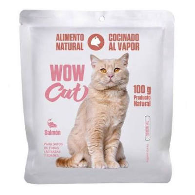wow cat gato adulto salmon *100g